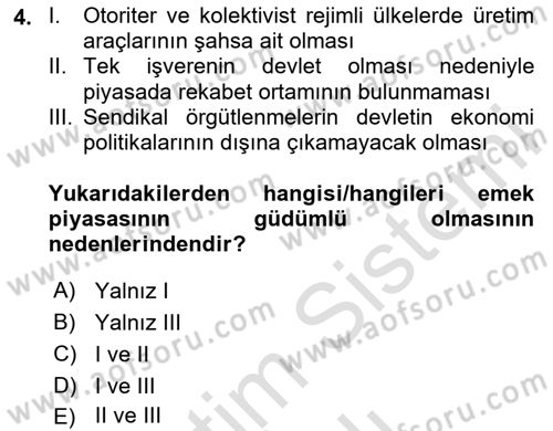 İstihdam ve İşsizlik Dersi 2023 - 2024 Yılı Yaz Okulu Sınav Soruları 4. Soru