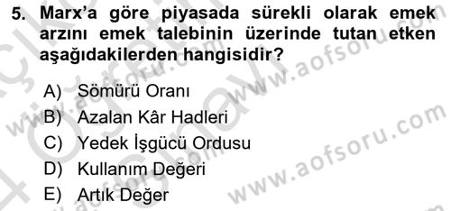 İstihdam ve İşsizlik Dersi 2023 - 2024 Yılı Yaz Okulu Sınav Soruları 5. Soru