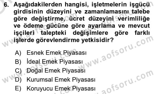 İstihdam ve İşsizlik Dersi 2023 - 2024 Yılı Yaz Okulu Sınav Soruları 6. Soru
