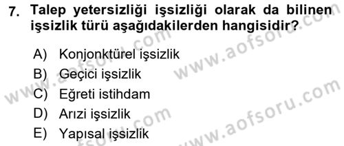 İstihdam ve İşsizlik Dersi 2023 - 2024 Yılı Yaz Okulu Sınav Soruları 7. Soru