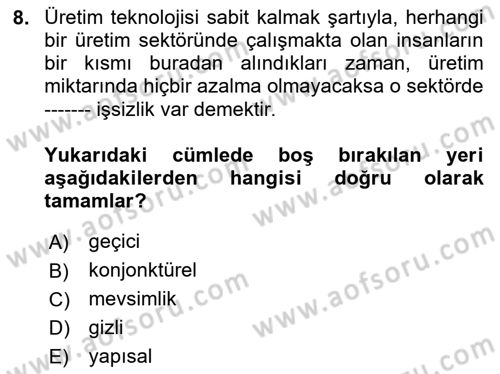 İstihdam ve İşsizlik Dersi 2023 - 2024 Yılı Yaz Okulu Sınav Soruları 8. Soru