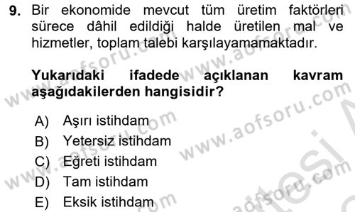 İstihdam ve İşsizlik Dersi 2023 - 2024 Yılı Yaz Okulu Sınav Soruları 9. Soru
