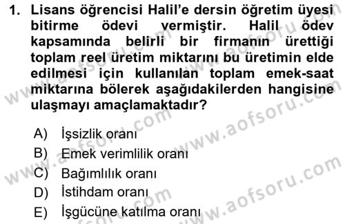 İstihdam ve İşsizlik Dersi 2024 - 2025 Yılı (Vize) Ara Sınav Soruları 1. Soru