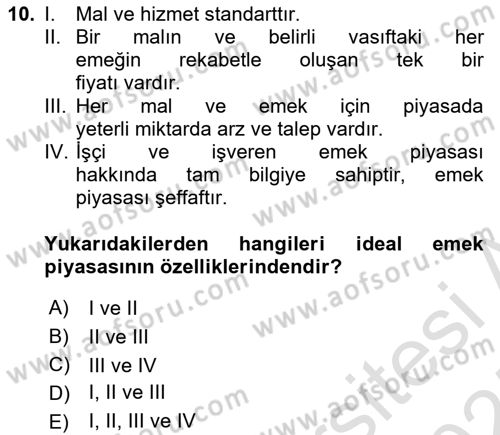 İstihdam ve İşsizlik Dersi 2024 - 2025 Yılı (Vize) Ara Sınav Soruları 10. Soru