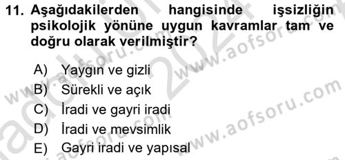 İstihdam ve İşsizlik Dersi 2024 - 2025 Yılı (Vize) Ara Sınav Soruları 11. Soru