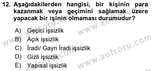 İstihdam ve İşsizlik Dersi 2024 - 2025 Yılı (Vize) Ara Sınav Soruları 12. Soru