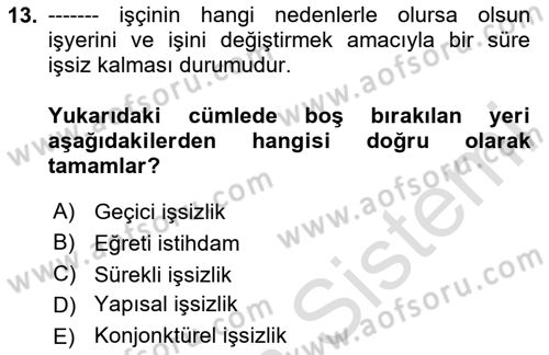 İstihdam ve İşsizlik Dersi 2024 - 2025 Yılı (Vize) Ara Sınav Soruları 13. Soru