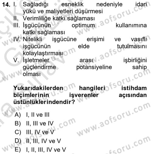 İstihdam ve İşsizlik Dersi 2024 - 2025 Yılı (Vize) Ara Sınav Soruları 14. Soru