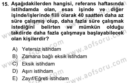 İstihdam ve İşsizlik Dersi 2024 - 2025 Yılı (Vize) Ara Sınav Soruları 15. Soru