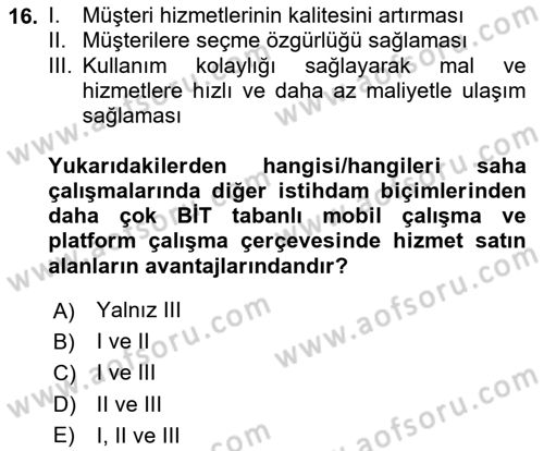 İstihdam ve İşsizlik Dersi 2024 - 2025 Yılı (Vize) Ara Sınav Soruları 16. Soru