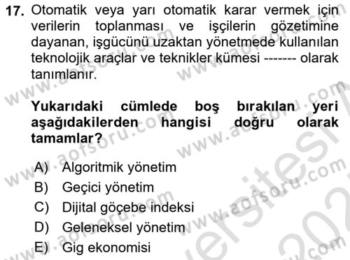 İstihdam ve İşsizlik Dersi 2024 - 2025 Yılı (Vize) Ara Sınav Soruları 17. Soru