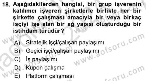 İstihdam ve İşsizlik Dersi 2024 - 2025 Yılı (Vize) Ara Sınav Soruları 18. Soru