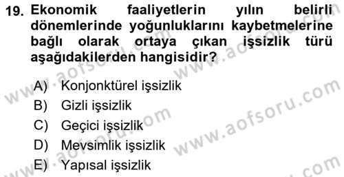 İstihdam ve İşsizlik Dersi 2024 - 2025 Yılı (Vize) Ara Sınav Soruları 19. Soru
