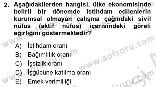 İstihdam ve İşsizlik Dersi 2024 - 2025 Yılı (Vize) Ara Sınav Soruları 2. Soru