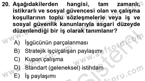İstihdam ve İşsizlik Dersi 2024 - 2025 Yılı (Vize) Ara Sınav Soruları 20. Soru