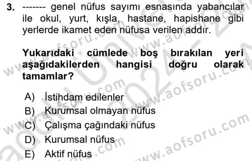 İstihdam ve İşsizlik Dersi 2024 - 2025 Yılı (Vize) Ara Sınav Soruları 3. Soru