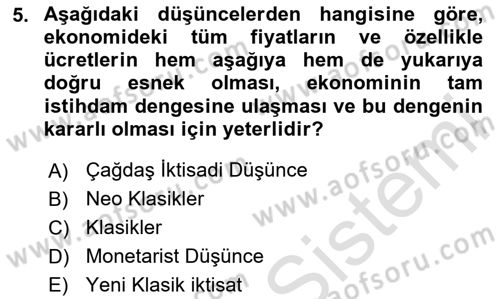İstihdam ve İşsizlik Dersi 2024 - 2025 Yılı (Vize) Ara Sınav Soruları 5. Soru