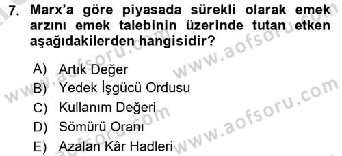 İstihdam ve İşsizlik Dersi 2024 - 2025 Yılı (Vize) Ara Sınav Soruları 7. Soru