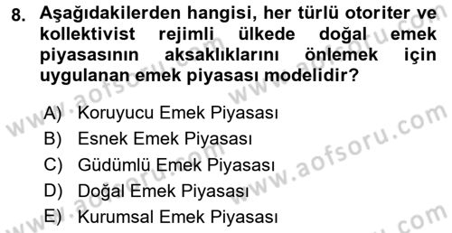 İstihdam ve İşsizlik Dersi 2024 - 2025 Yılı (Vize) Ara Sınav Soruları 8. Soru