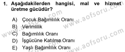 İstihdam ve İşsizlik Dersi 2024 - 2025 Yılı (Final) Dönem Sonu Sınav Soruları 1. Soru