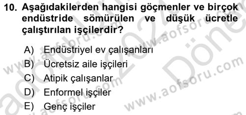 İstihdam ve İşsizlik Dersi 2024 - 2025 Yılı (Final) Dönem Sonu Sınav Soruları 10. Soru