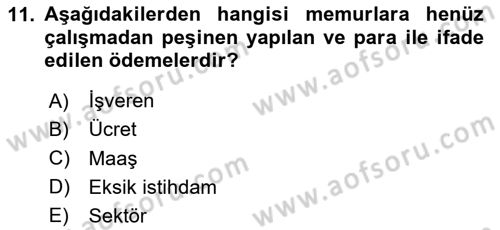 İstihdam ve İşsizlik Dersi 2024 - 2025 Yılı (Final) Dönem Sonu Sınav Soruları 11. Soru