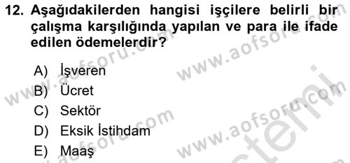 İstihdam ve İşsizlik Dersi 2024 - 2025 Yılı (Final) Dönem Sonu Sınav Soruları 12. Soru