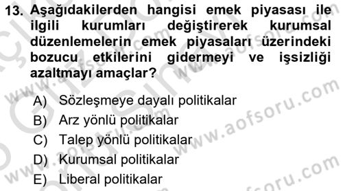 İstihdam ve İşsizlik Dersi 2024 - 2025 Yılı (Final) Dönem Sonu Sınav Soruları 13. Soru