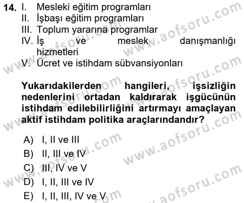 İstihdam ve İşsizlik Dersi 2024 - 2025 Yılı (Final) Dönem Sonu Sınav Soruları 14. Soru