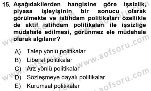 İstihdam ve İşsizlik Dersi 2024 - 2025 Yılı (Final) Dönem Sonu Sınav Soruları 15. Soru