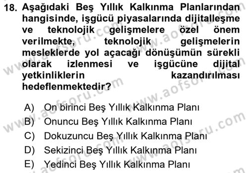 İstihdam ve İşsizlik Dersi 2024 - 2025 Yılı (Final) Dönem Sonu Sınav Soruları 18. Soru