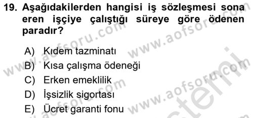 İstihdam ve İşsizlik Dersi 2024 - 2025 Yılı (Final) Dönem Sonu Sınav Soruları 19. Soru