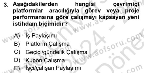 İstihdam ve İşsizlik Dersi 2024 - 2025 Yılı (Final) Dönem Sonu Sınav Soruları 3. Soru