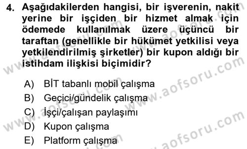 İstihdam ve İşsizlik Dersi 2024 - 2025 Yılı (Final) Dönem Sonu Sınav Soruları 4. Soru
