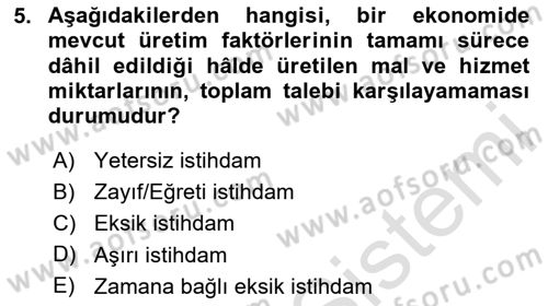 İstihdam ve İşsizlik Dersi 2024 - 2025 Yılı (Final) Dönem Sonu Sınav Soruları 5. Soru