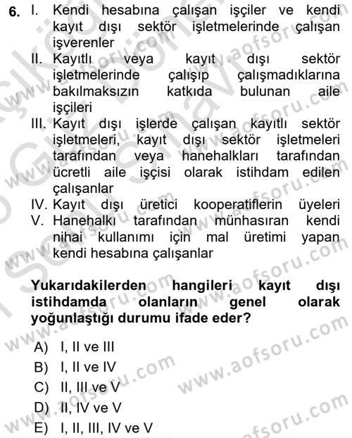 İstihdam ve İşsizlik Dersi 2024 - 2025 Yılı (Final) Dönem Sonu Sınav Soruları 6. Soru
