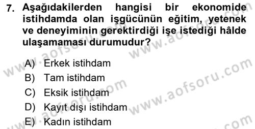 İstihdam ve İşsizlik Dersi 2024 - 2025 Yılı (Final) Dönem Sonu Sınav Soruları 7. Soru