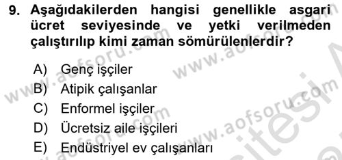 İstihdam ve İşsizlik Dersi 2024 - 2025 Yılı (Final) Dönem Sonu Sınav Soruları 9. Soru
