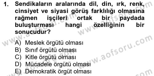 Sendikacılık Dersi 2012 - 2013 Yılı (Vize) Ara Sınav Soruları 1. Soru