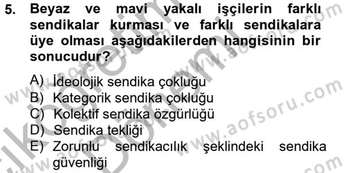 Sendikacılık Dersi 2012 - 2013 Yılı (Vize) Ara Sınav Soruları 5. Soru