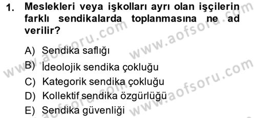 Sendikacılık Dersi 2013 - 2014 Yılı (Vize) Ara Sınav Soruları 1. Soru