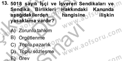 Sendikacılık Dersi 2013 - 2014 Yılı (Final) Dönem Sonu Sınav Soruları 13. Soru