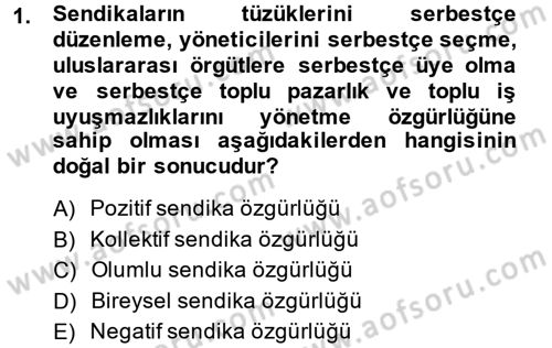 Sendikacılık Dersi 2014 - 2015 Yılı (Final) Dönem Sonu Sınav Soruları 1. Soru