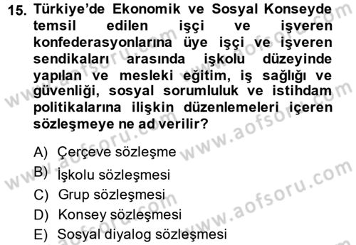Sendikacılık Dersi 2014 - 2015 Yılı Tek Ders Sınav Soruları 15. Soru