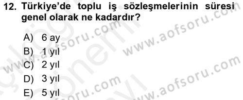 Sendikacılık Dersi 2015 - 2016 Yılı Tek Ders Sınav Soruları 12. Soru