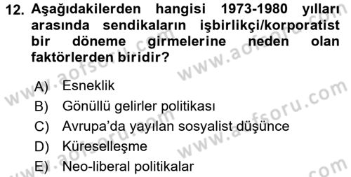 Sendikacılık Dersi 2016 - 2017 Yılı (Vize) Ara Sınav Soruları 12. Soru