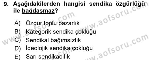 Sendikacılık Dersi 2016 - 2017 Yılı (Vize) Ara Sınav Soruları 9. Soru