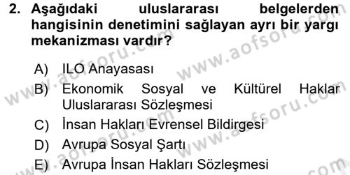 Sendikacılık Dersi 2017 - 2018 Yılı (Vize) Ara Sınav Soruları 2. Soru