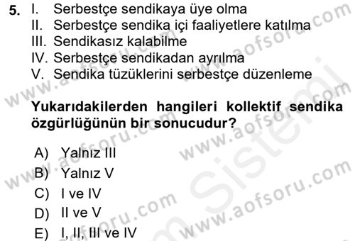 Sendikacılık Dersi 2017 - 2018 Yılı (Vize) Ara Sınav Soruları 5. Soru