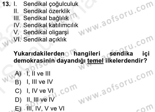 Sendikacılık Dersi 2017 - 2018 Yılı (Final) Dönem Sonu Sınav Soruları 13. Soru